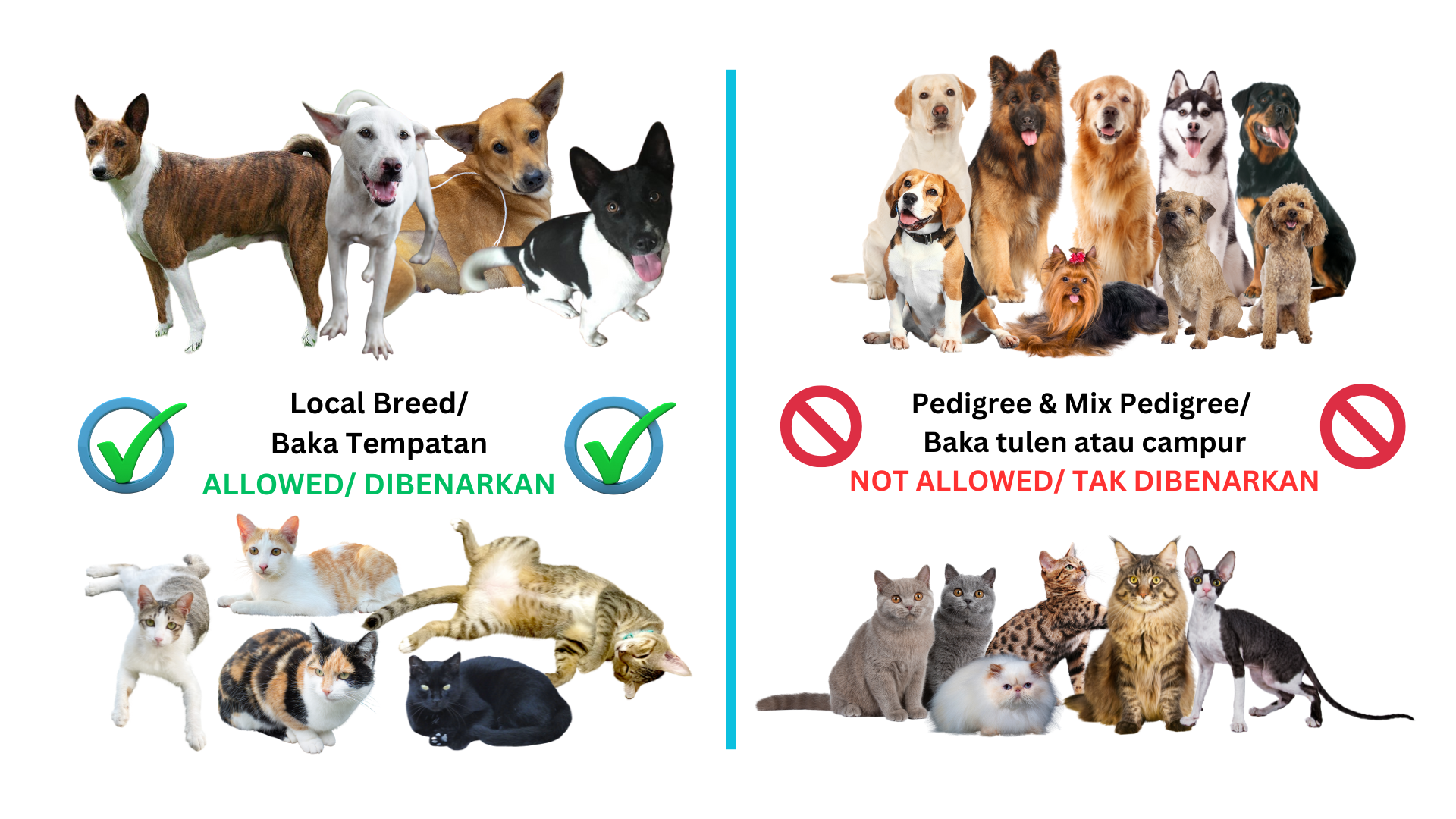 Permitted/Not Permitted Dog Breed